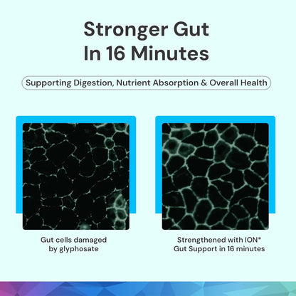 ION* Intelligence of Nature Gut Support Liquid Supplement – 946 ml