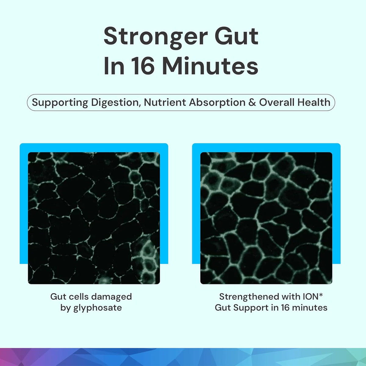 ION* Gut Support Liquid Supplement - Gut & Digestive Health, Humic Extract - 473 ml - görsel 5