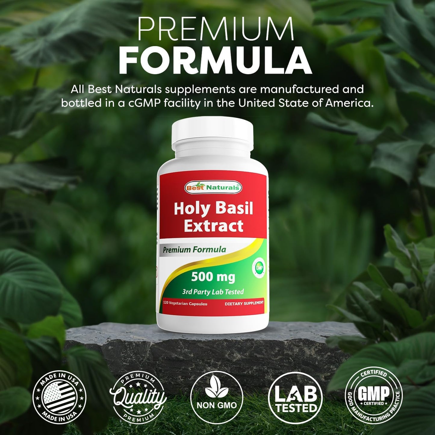 Best Naturals Holy Basil Extract 500 mg 120 Capsules (Pack of 2) - görsel 5