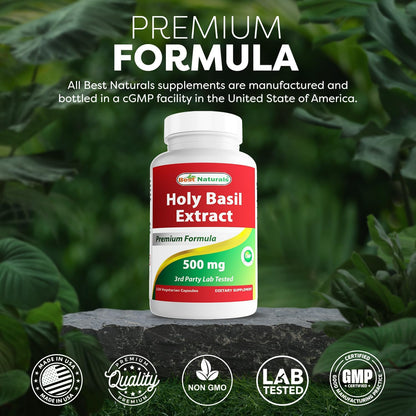 Best Naturals Holy Basil Extract 500 mg 120 Capsules (Pack of 2)