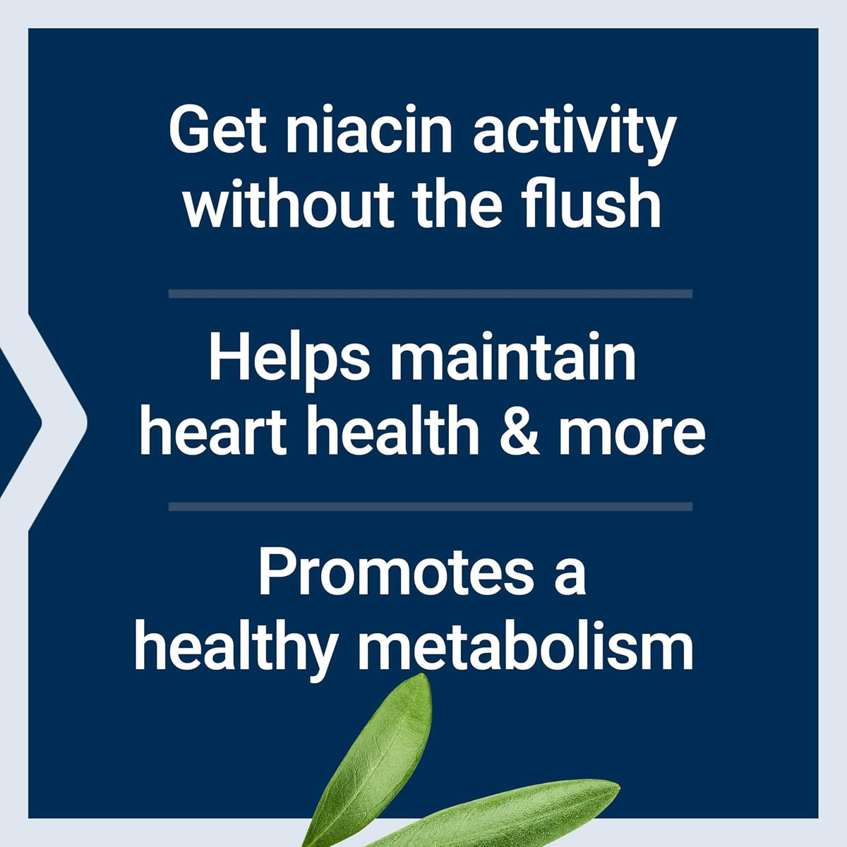 Life Extension No Flush Niacin, B3 for Heart Health & Energy Support, 100 Capsules - görsel 4