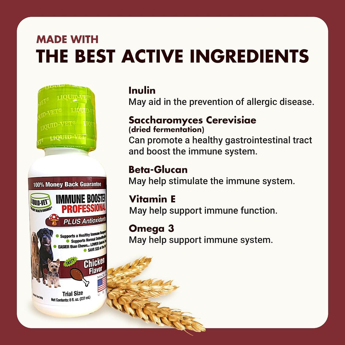 Immune Support for Dogs – Antioxidant & Gut Health – Inulin, Beta-Glucan & Omega-3s – Liquid for Picky Eaters - görsel 4