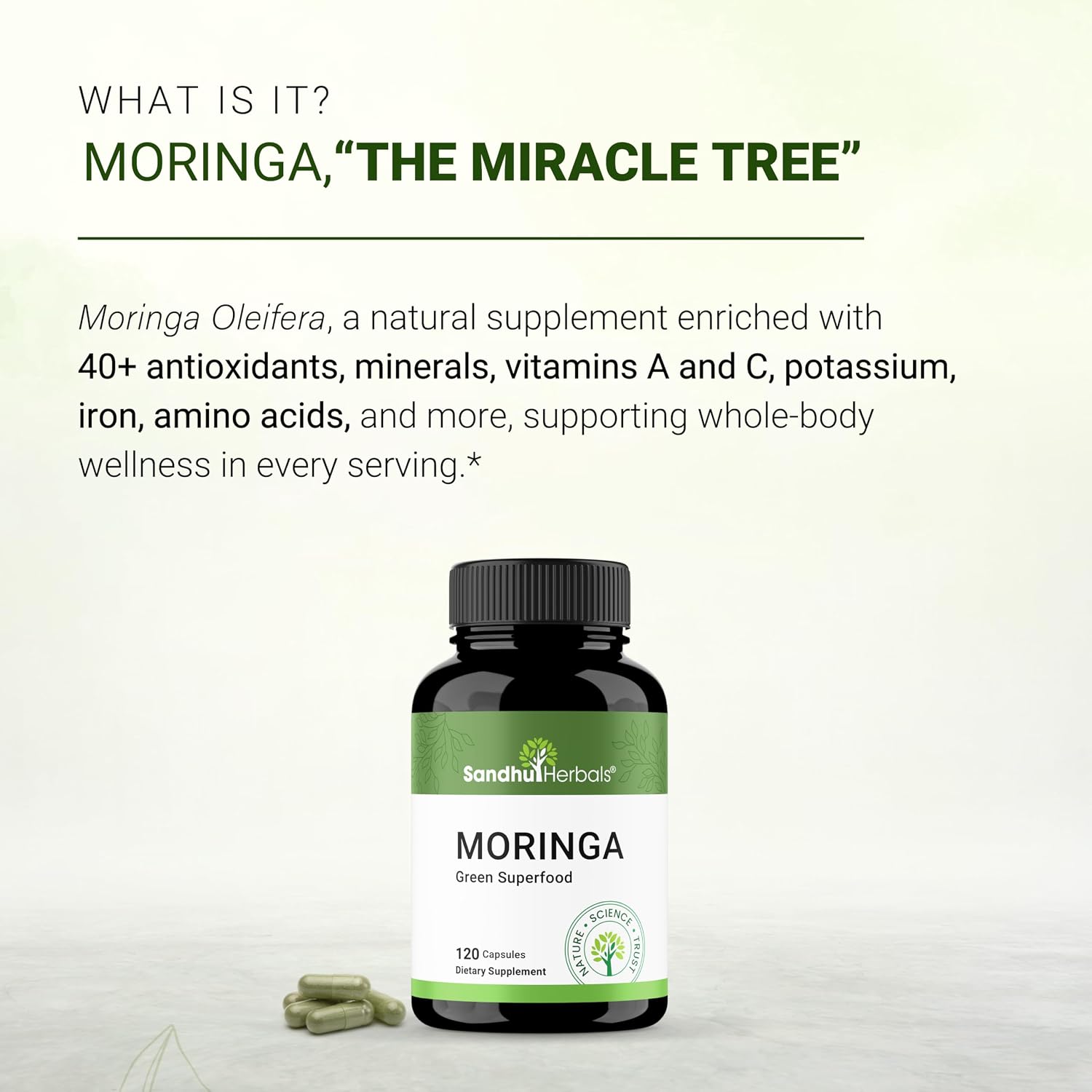 Pure Moringa Capsules – 120 Capsules, 900mg per Serving – Natural Antioxidant Superfood Supplement - görsel 3