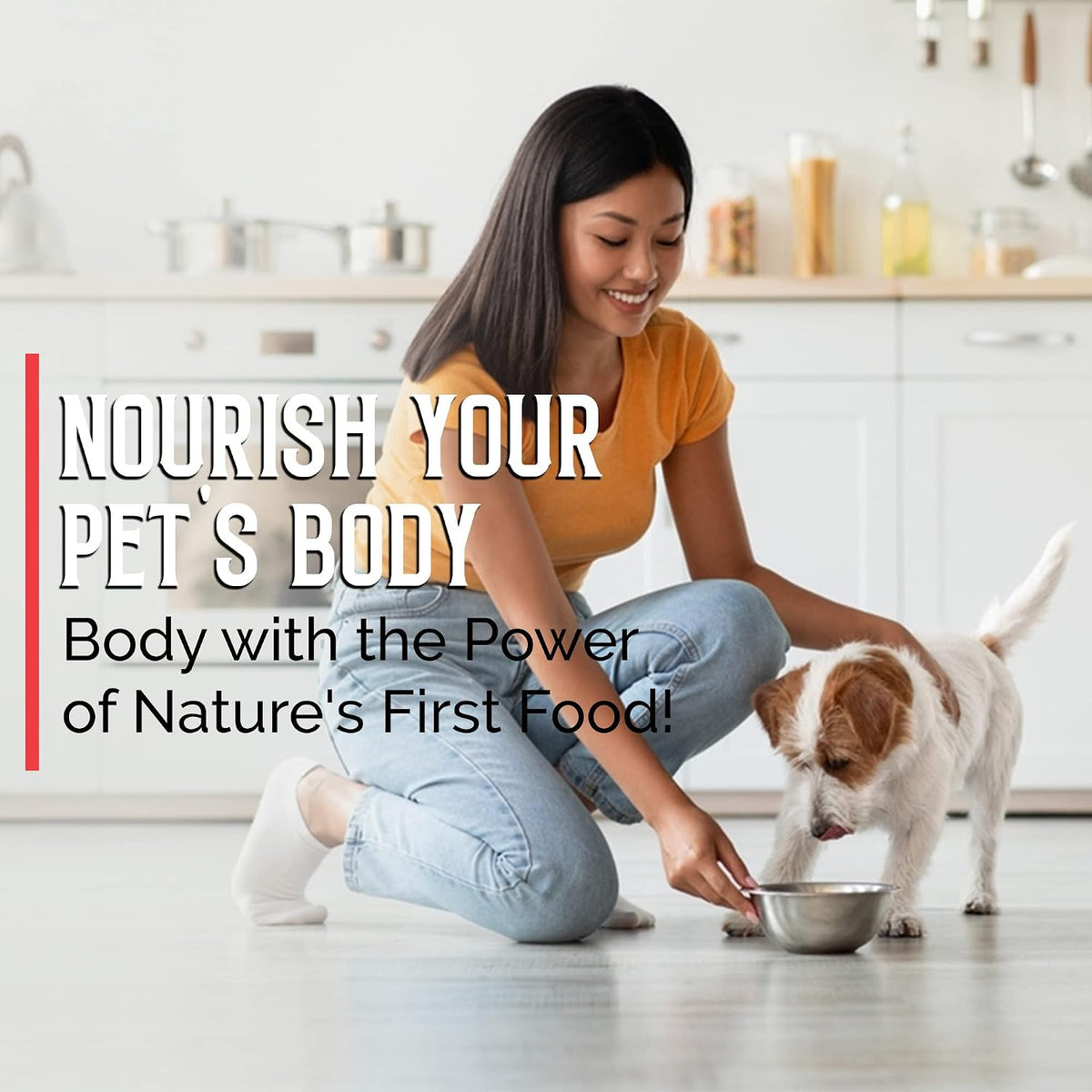 BodyBoost Bovine Colostrum Powder for Dogs – Nutritional Boost: Provides a concentrated source of protein, – Image 7