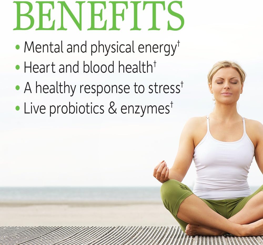 Garden of Life Vitamin B Complex, 60 Vegan Capsules - görsel 2