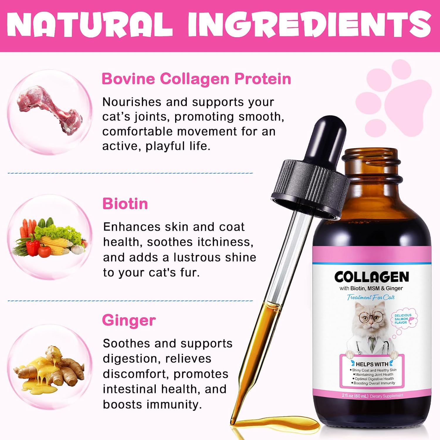 Onznoz Collagen for Cats - Liquid Skin & Coat Supplement with MSM and Ginger, 60 ml - görsel 2