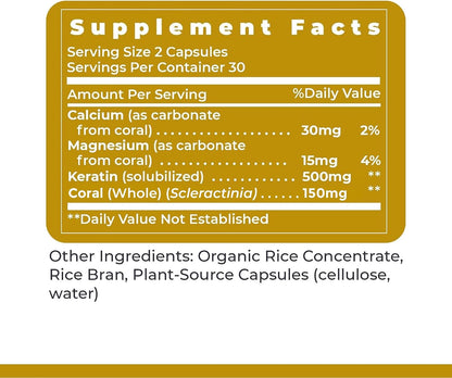 Premier Research Labs Premier Hair, Skin & Nails – Hair Growth Supplement for Women & Men with Keratin, Beauty from Within – – Image 6