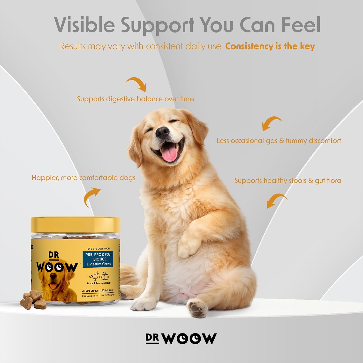 DR WOOW Probiotics for Dogs Soft Chews – Duck & Pumpkin Flavour (90 Count) - görsel 3