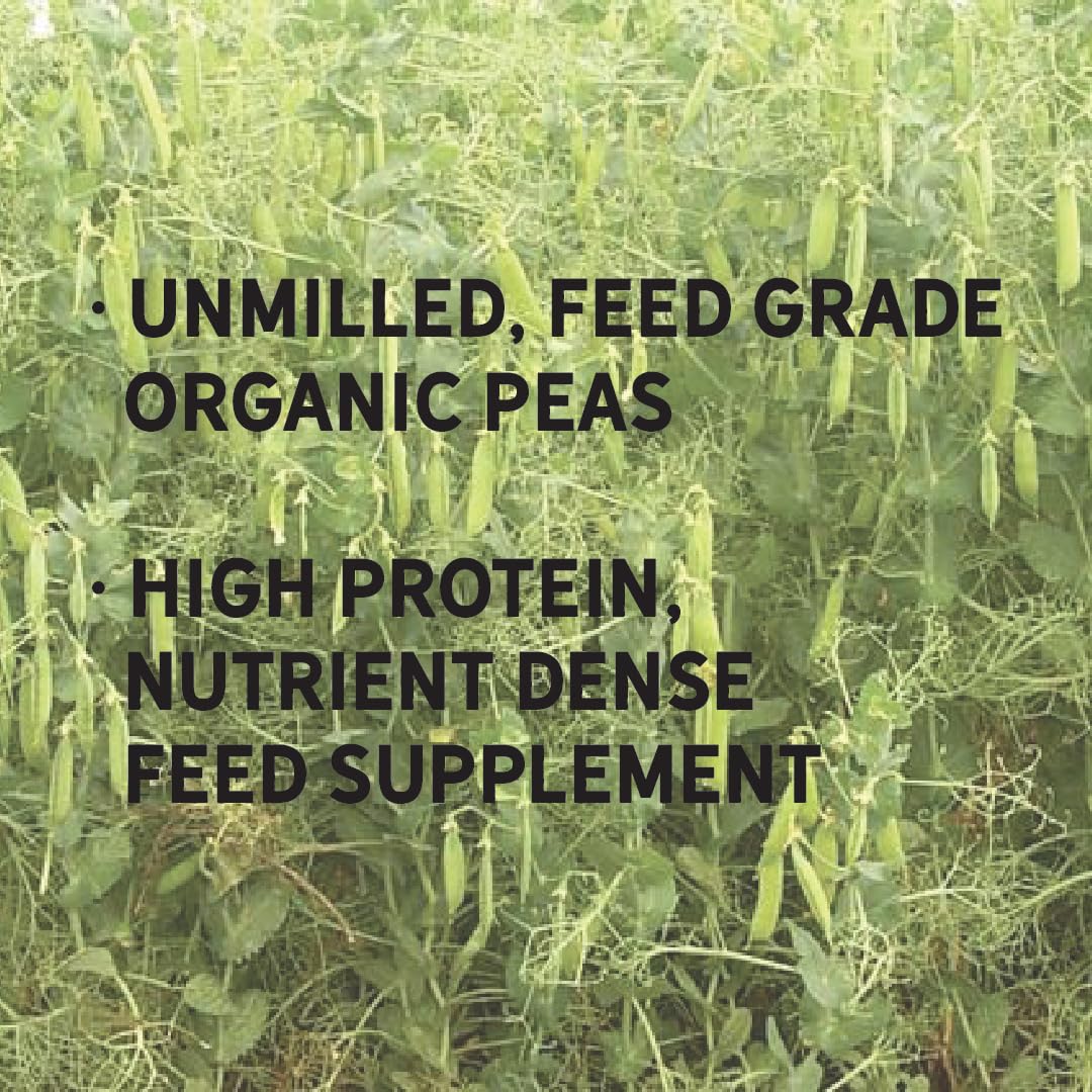 New Country Organics Organic Unmilled Peas - Certified Organic and Non-GMO Feed Supplement for Dogs (18 kg) - görsel 4