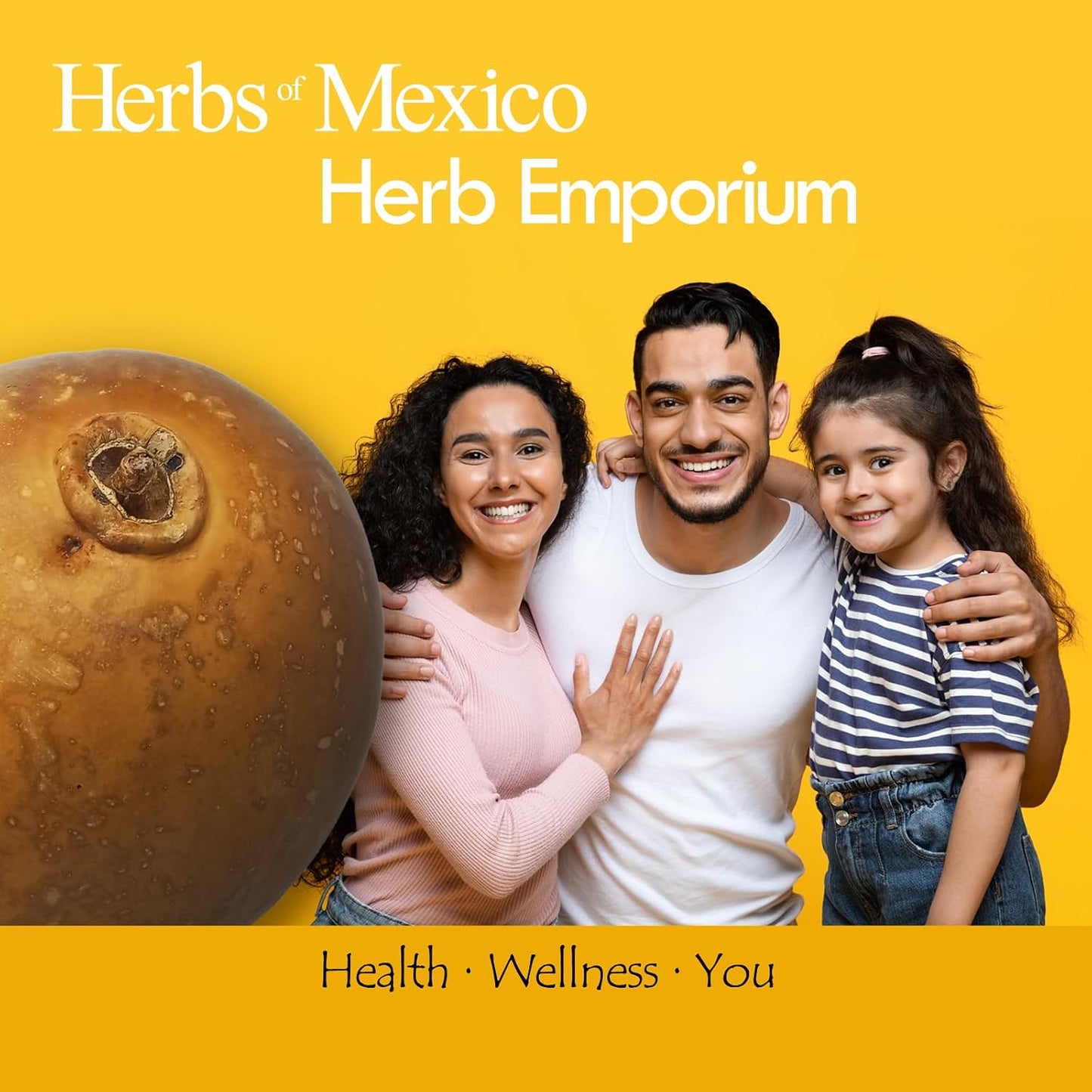 Herbs of Mexico Guaje Cirial Whole (Totuma, Jicara, Guiro, Cuatecomate) 2 pack - görsel 4