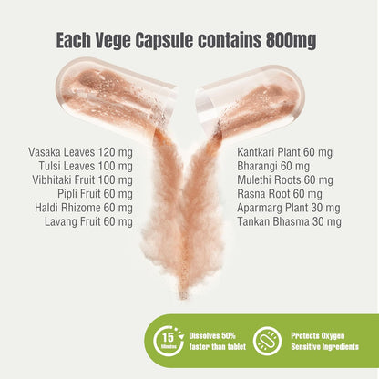 Herbsforever Respiton Capsules - Respiratory Wellness Support, 90 Vegan Capsules