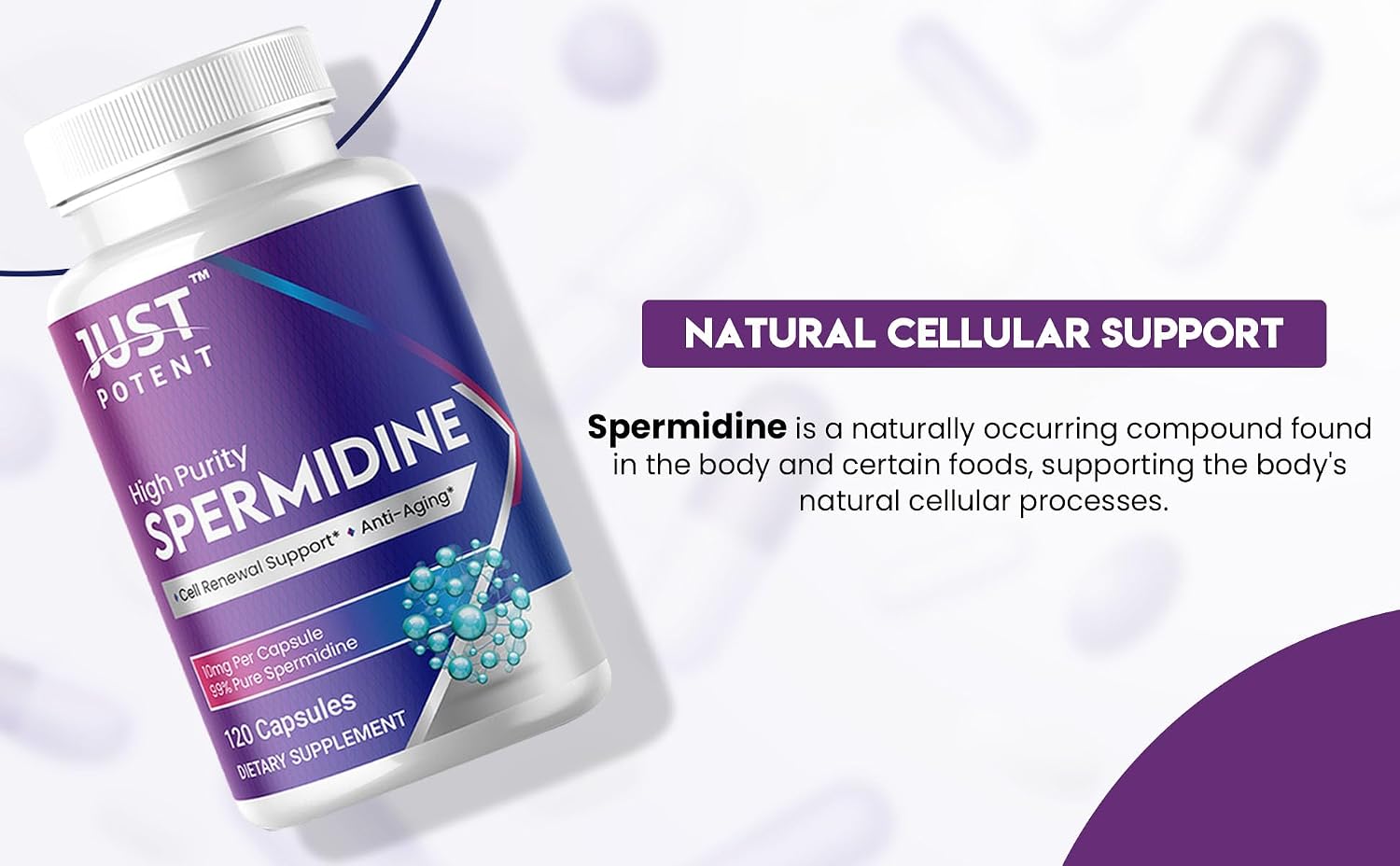 Just Potent High Purity (99%) Spermidine Supplement – 120 Capsules, 10mg Each – Cell Renewal Support - görsel 6