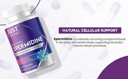 Just Potent High Purity (99%) Spermidine Supplement – 120 Capsules, 10mg Each – Cell Renewal Support