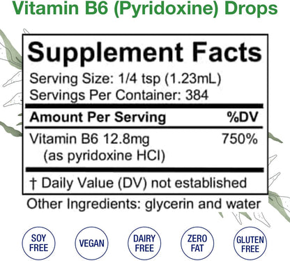 HoneyCombs Vitamin B6 Liquid Drops 473 ml