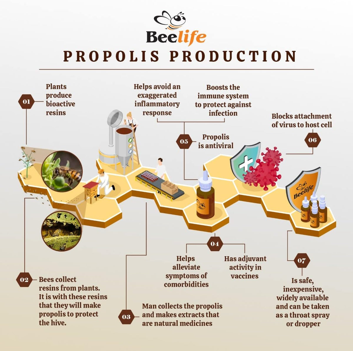 Beelife Propoflex Organic Green Propolis Extract - High in Artepillin-C, Rich in Antioxidants, 1 Fl Oz (28 ml) - görsel 5
