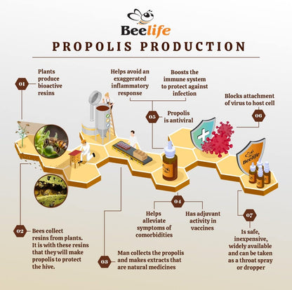 Beelife Propoflex Organic Green Propolis Extract - High in Artepillin-C, Rich in Antioxidants, 1 Fl Oz (28 ml)