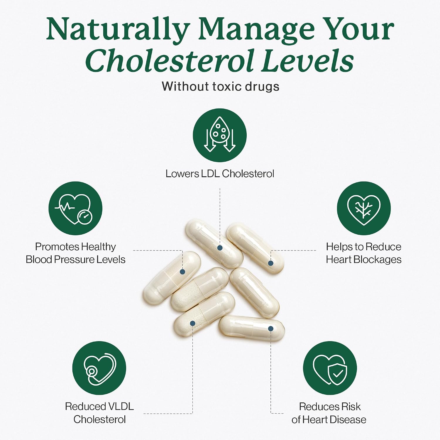 Dr. Fuhrman's LDL Biotect Cholesterol Lowering Supplement with Plant Sterols and Organic Extracts - 240 Capsules - görsel 2
