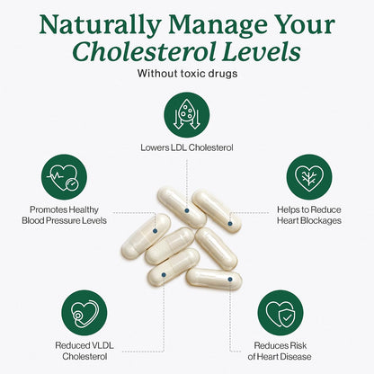 Dr. Fuhrman's LDL Biotect Cholesterol Lowering Supplement with Plant Sterols and Organic Extracts - 240 Capsules