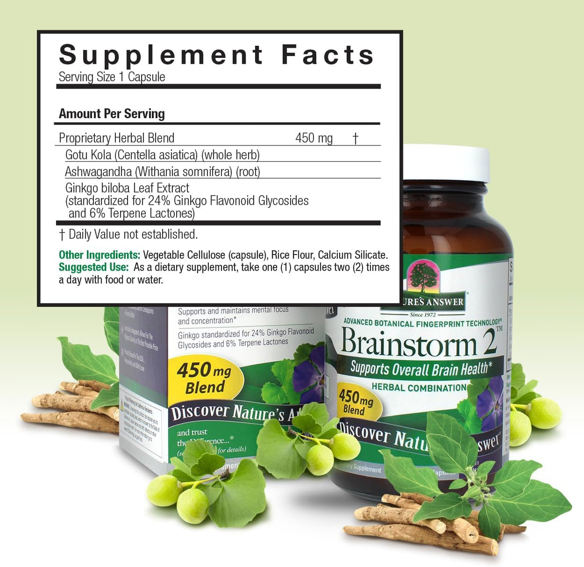 Nature's Answer Brainstorm 2 Vegetarian Capsules, 90 Capsules - görsel 3