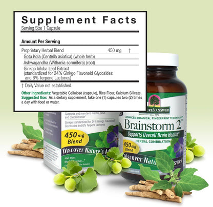 Nature's Answer Brainstorm 2 Vegetarian Capsules, 90 Capsules