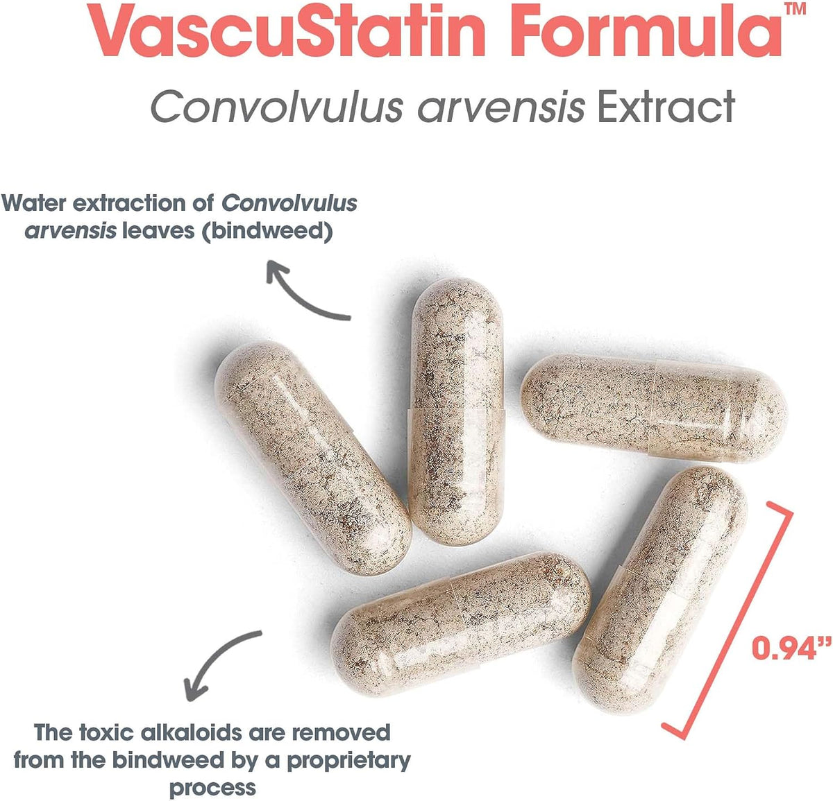 Allergy Research Group ARG VascuStatin Formula – Immune Support Supplement with Field Bindweed Extract - görsel 5