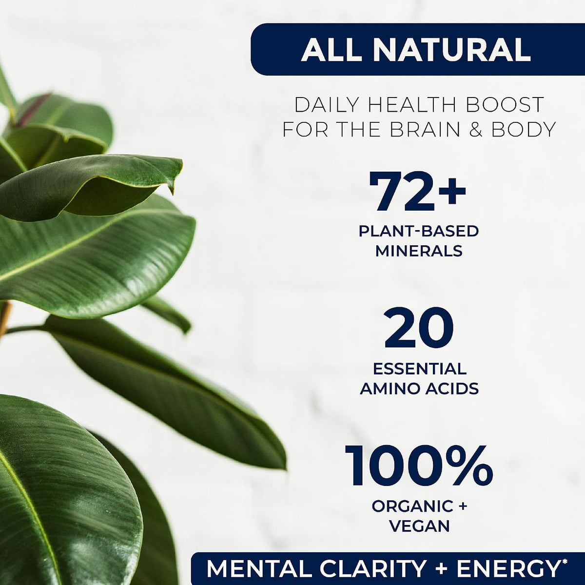 Miracles of Health Liquid Chelated Minerals - Organic Humic Fulvic Mineral Blend - 72+ Plant-Based Minerals - 20 Essential Amino Acids - 100% Natural - 1 Month Supply, 946 ml - görsel 2