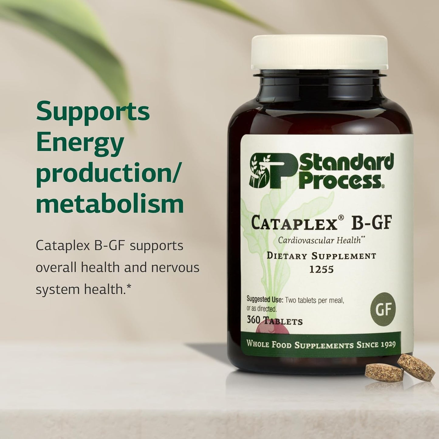 Standard Process Cataplex B-GF - Whole Food B-Complex, 360 Tablets - görsel 3