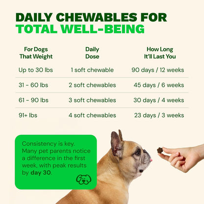 Get Joy Digestion Chews - Gut Health Supplement for Dogs with Prebiotics, Probiotics & Postbiotics, 90 Soft Chews