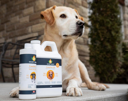 Smart Earth Camelina Oil for Dogs – Omega 3, 6, 9 Supplement for Healthy Skin, Shiny Coat & Flexible Joints (1.89 L with Pump)