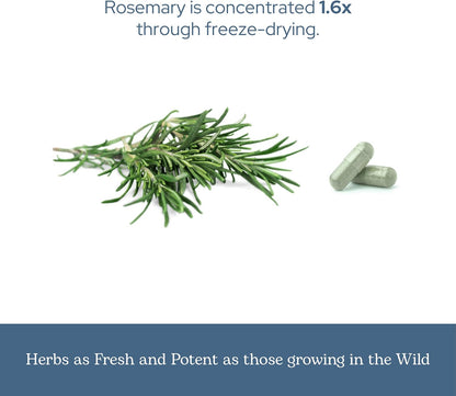 Eclectic Herb Rosemary Capsules – Mental Clarity, Memory & Brain Health (90 Count, 300 mg)