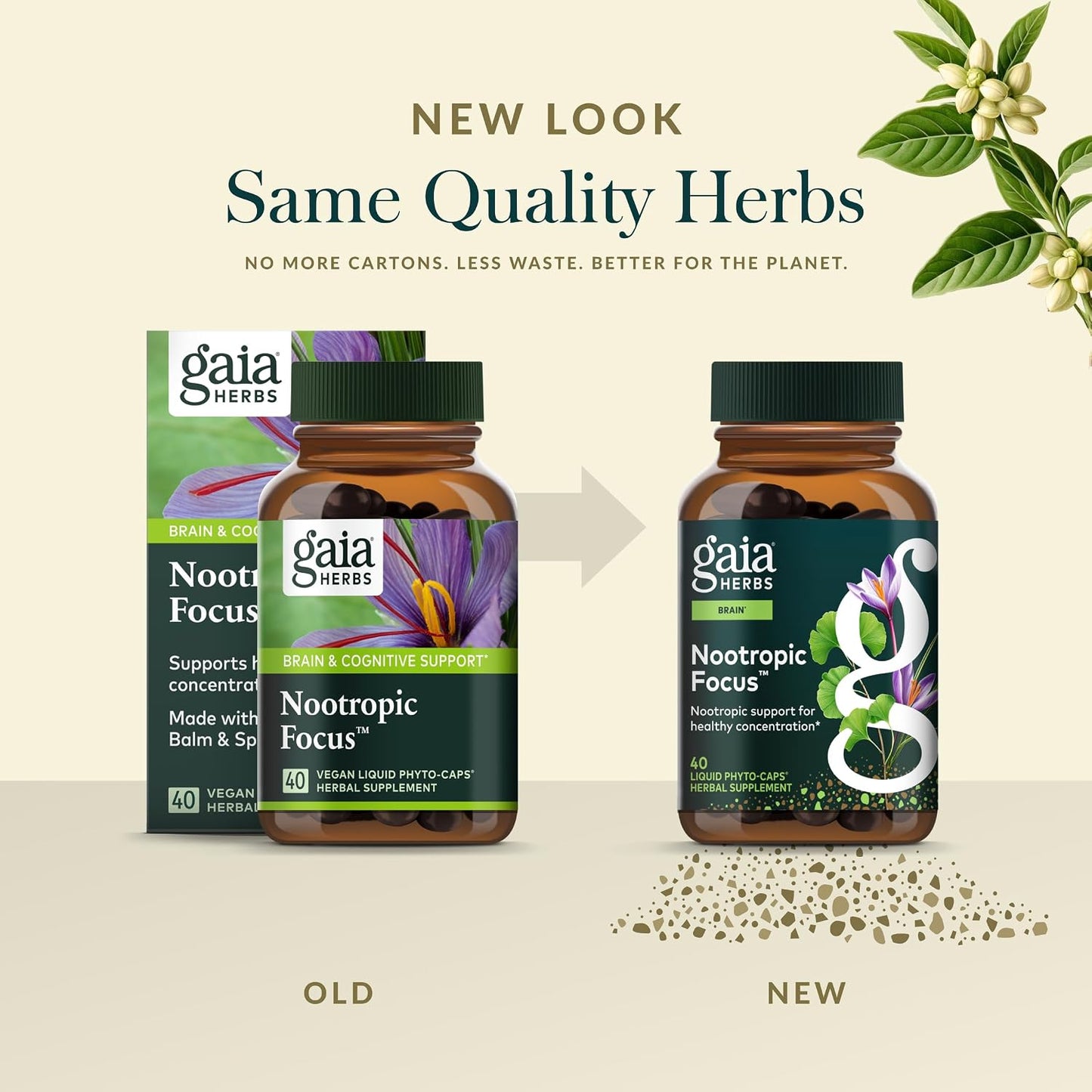 Gaia Herbs Nootropic Focus – Herbal Brain Supplement with Saffron, Lemon Balm and Spearmint – 40 Liquid Phyto-Capsules - görsel 6