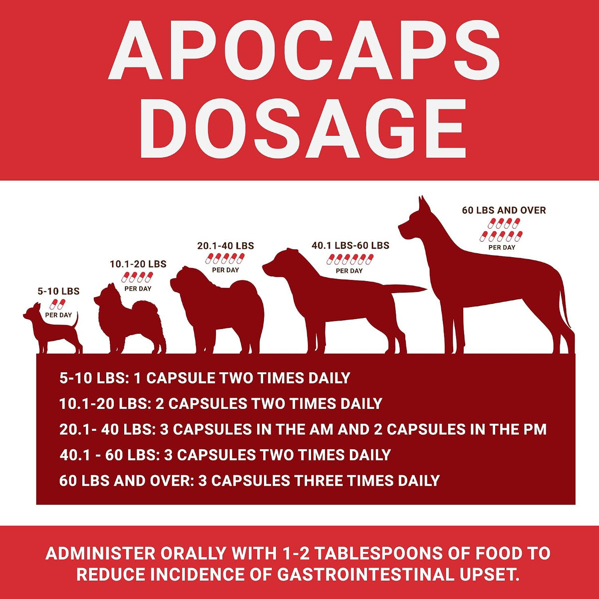 Apocaps CX Vet-Formulated Apoptogen Formula for Dogs - Milk Thistle, Turmeric, Apigenin & Luteolin - Formulated to Help Maintain Normal Cell Renewal, Immune & Liver Health - Senior Dogs - 90 Capsules - görsel 4