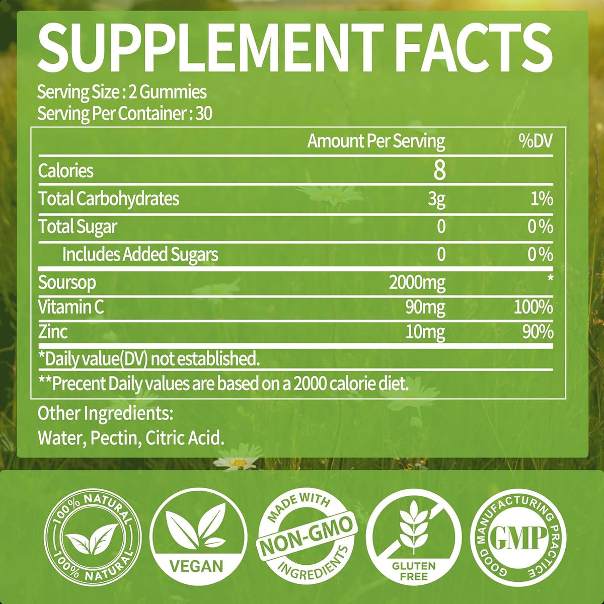 OALSE Soursop Graviola Gummies - Sugar-Free, Vegan, with Vitamin C & Zinc for Immune Support (60 Count) - görsel 2