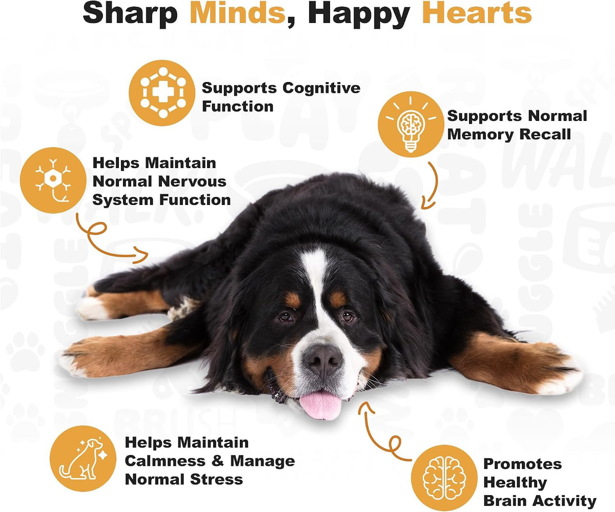Doggie Dailies Cognitive Puppy Chews – Supplement with DHA, Selenium, Organic Ashwagandha & Antioxidants – Peanut Butter Flavour – 120 Soft Chews - görsel 4