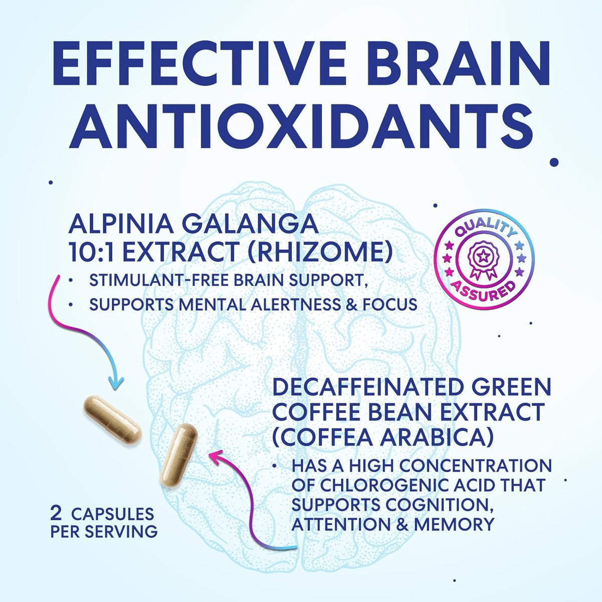 Nature's Peak Brain Memory Supplement - 3X Strength Nootropics for Concentration, Clarity & Focus Support - 120 Capsules - görsel 7