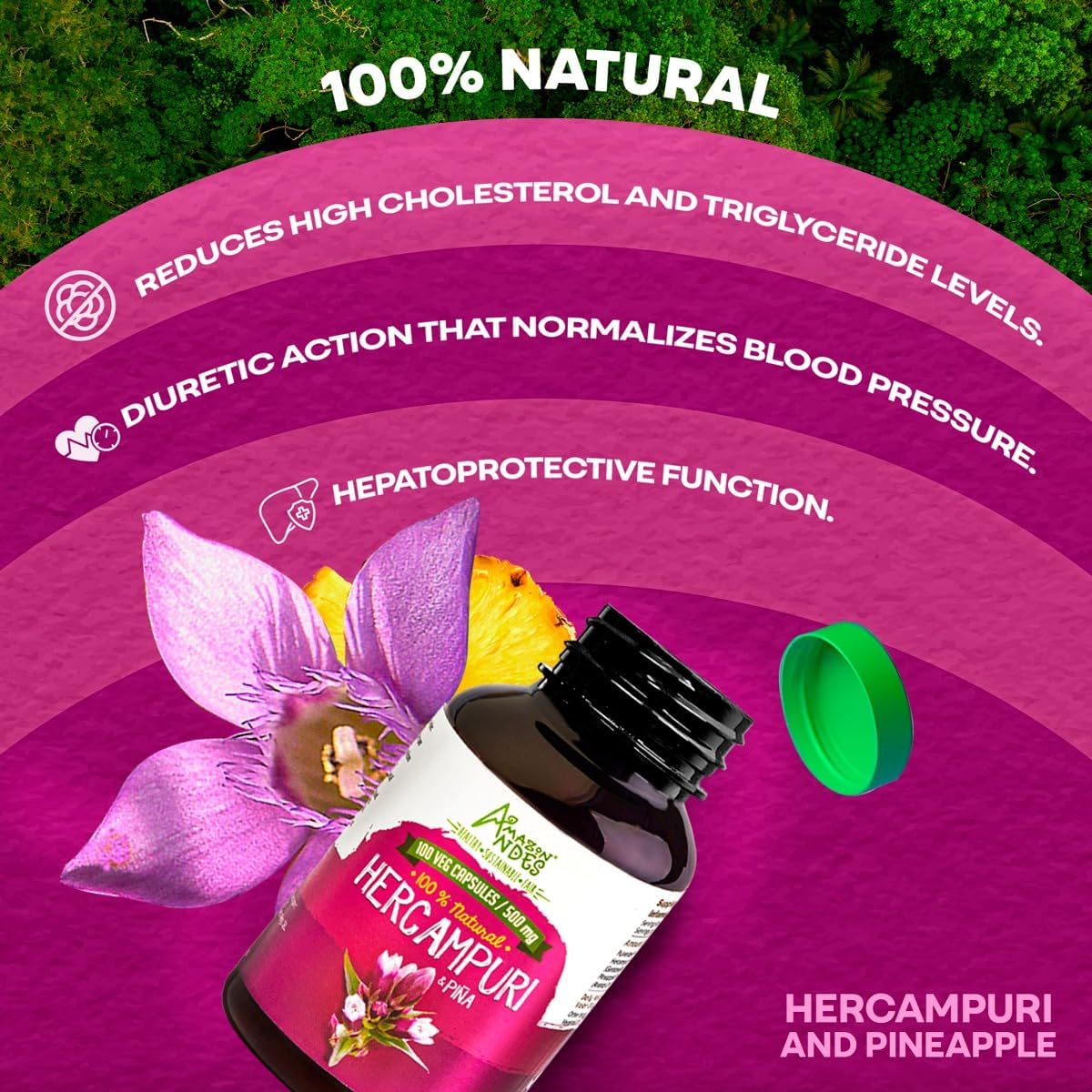 Hercampuri Capsules - 1500mg - Vegan, Non-GMO & Allergen Free - görsel 4