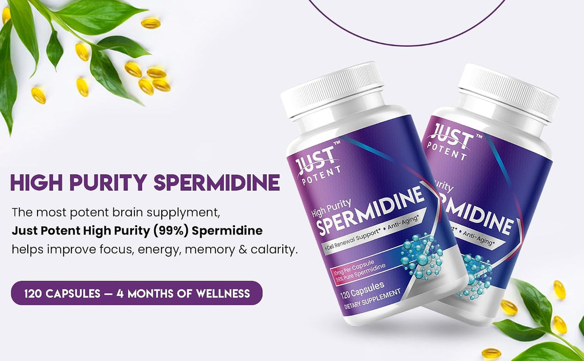 Just Potent High Purity (99%) Spermidine Supplement – 120 Capsules, 10mg Each – Cell Renewal Support - görsel 3