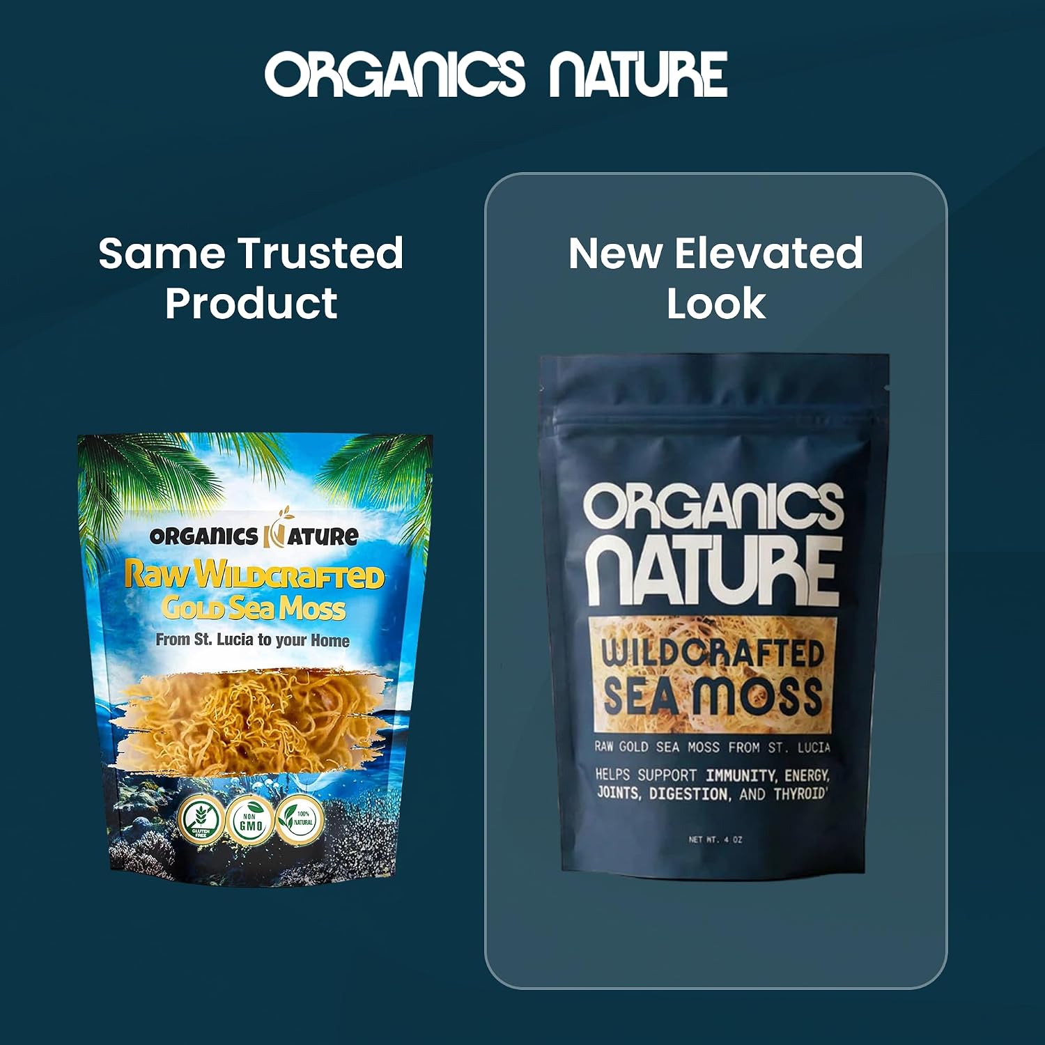 Organics Nature Raw Wildcrafted Sea Moss - Organic, Non-GMO, 113 g - görsel 3