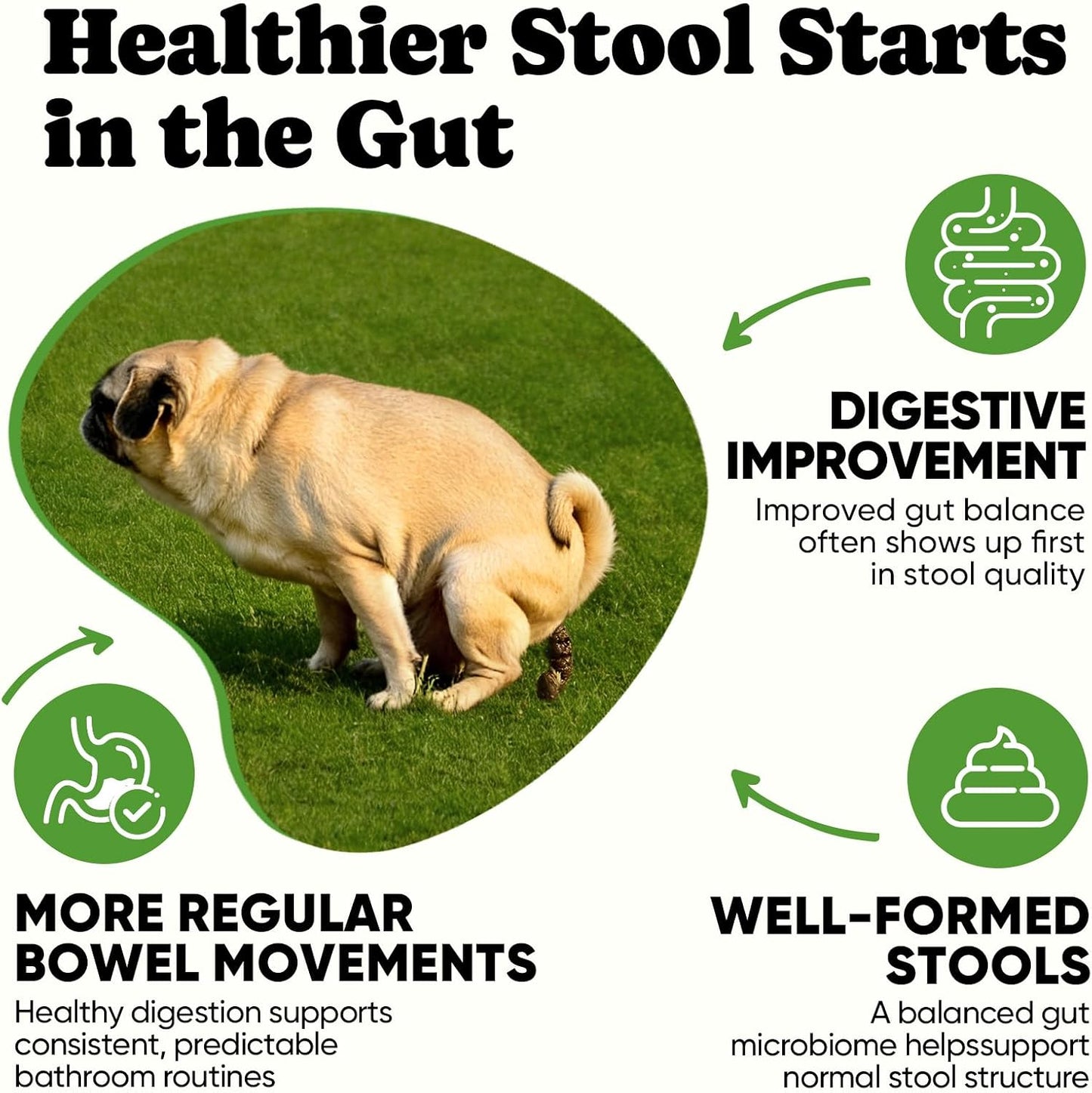 BuddyCheer Probiotics for Dogs - Supports Digestion, Skin and Breath - 180 Soft Chews - görsel 3