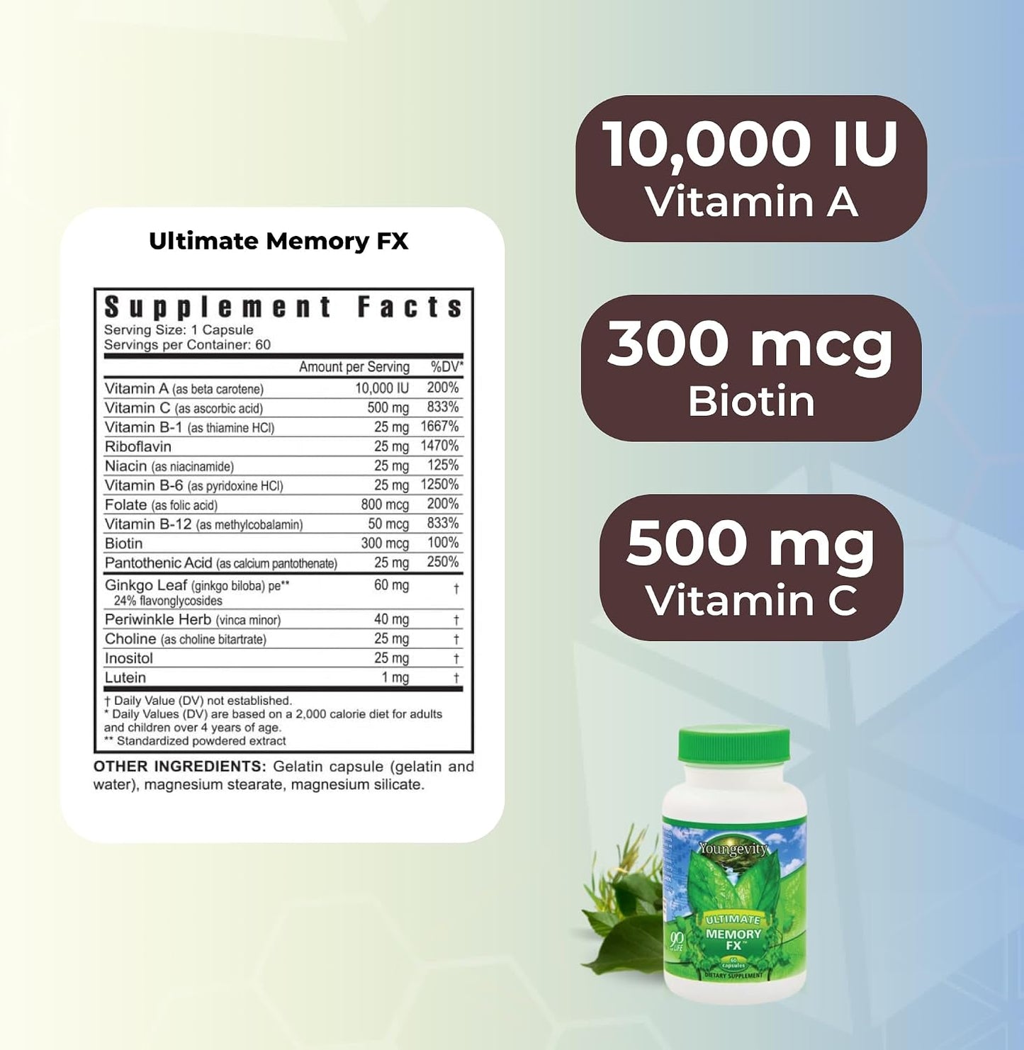 Ultimate Memory FX - Brain Health Supplement with Ginkgo Leaf, Periwinkle Herb & Vitamins - görsel 3