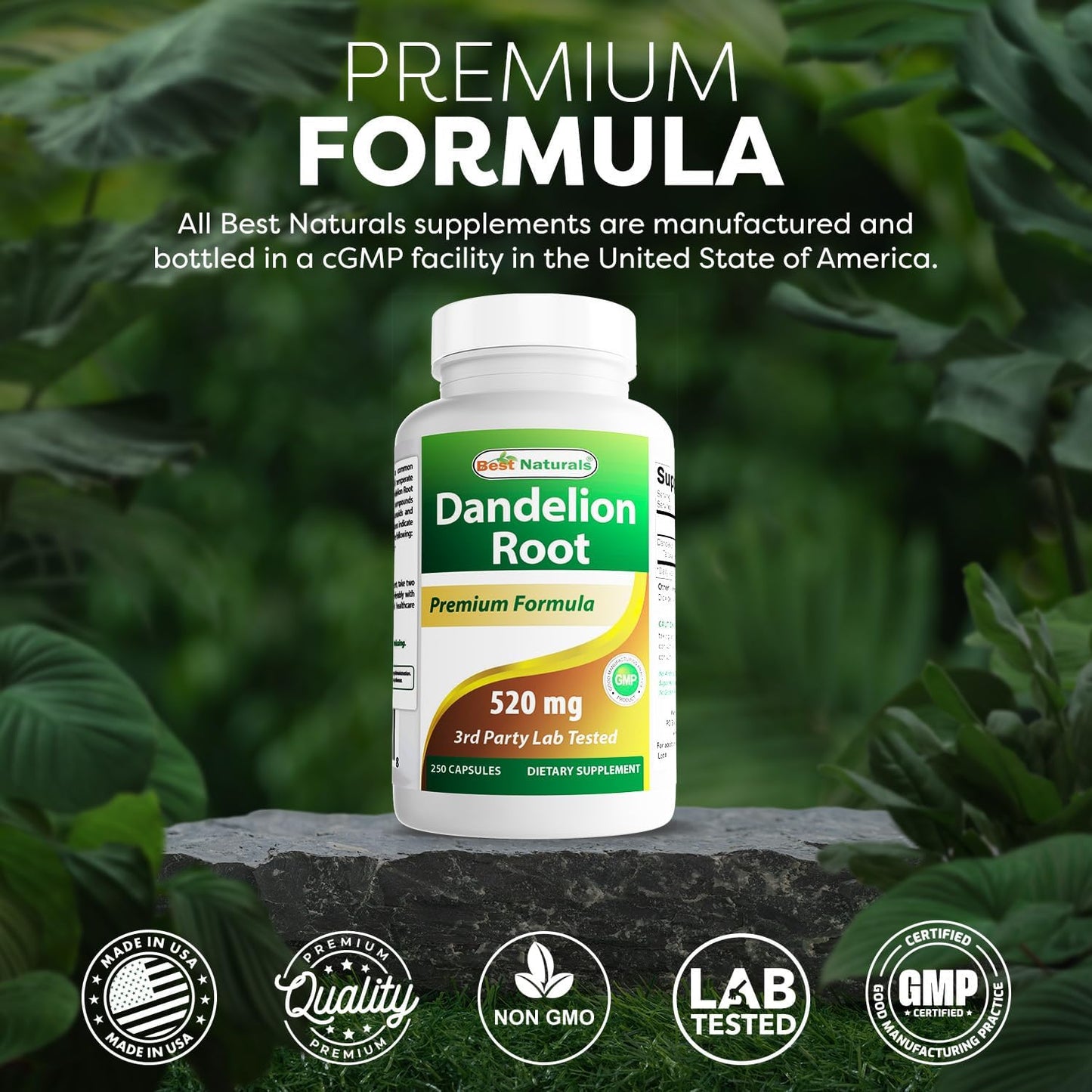 Best Naturals Dandelion Root 520 mg, 250 Capsules - görsel 5