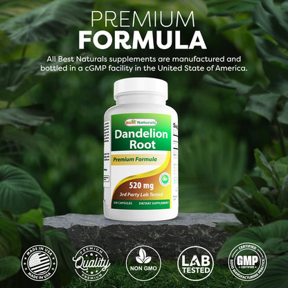 Best Naturals Dandelion Root 520 mg, 250 Capsules