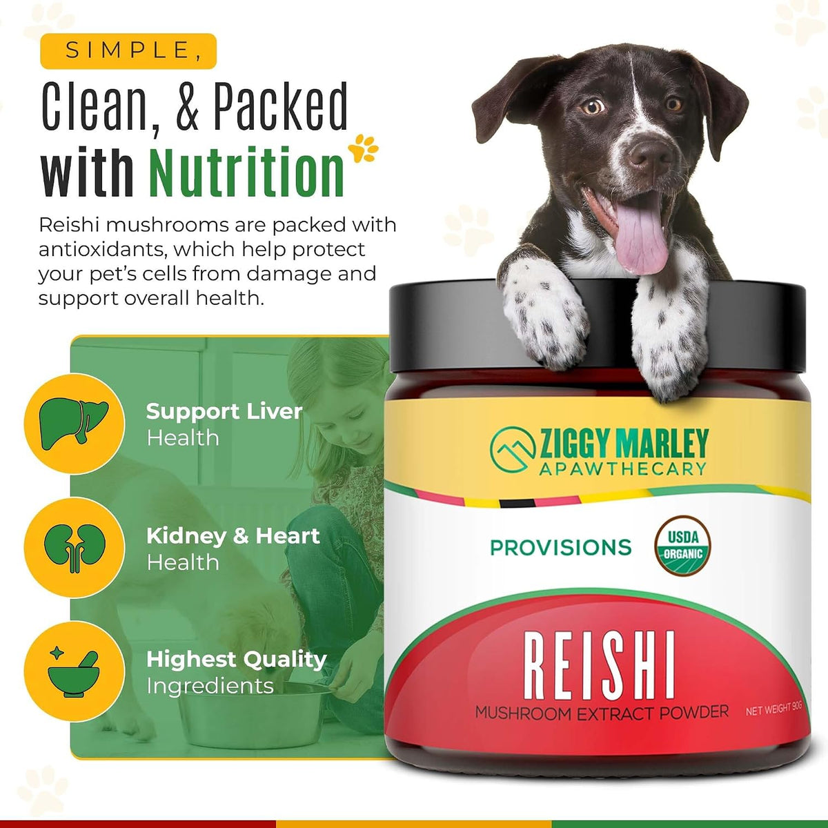 Ziggy Marley's USDA Organic Reishi Mushroom Powder for Dogs & Cats – Fruiting Body Extract, 90g - görsel 4