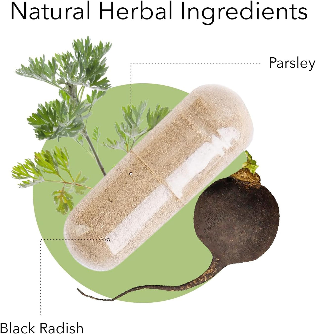 Kroeger Herb Products Black Radish and Parsley Food Supplement – Liver & Immune Support, Non-GMO, Vegan - görsel 2