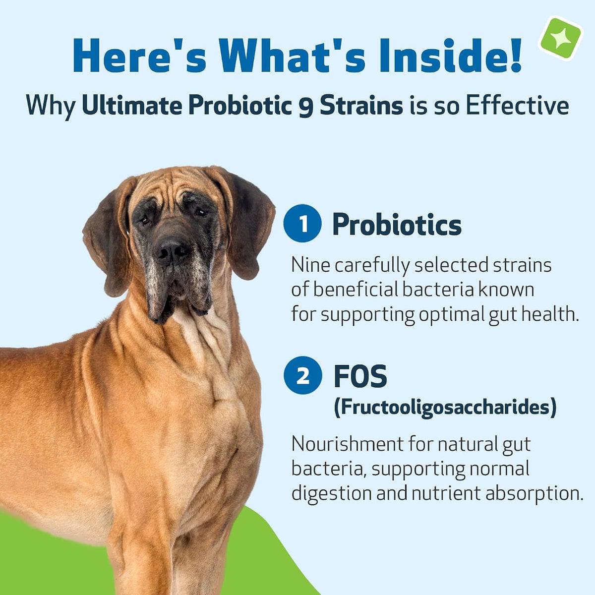 Pet Wellbeing Ultimate Probiotic – 9 Strains for Dogs and Cats, Digestive and Urinary Tract Support, 160g - görsel 3