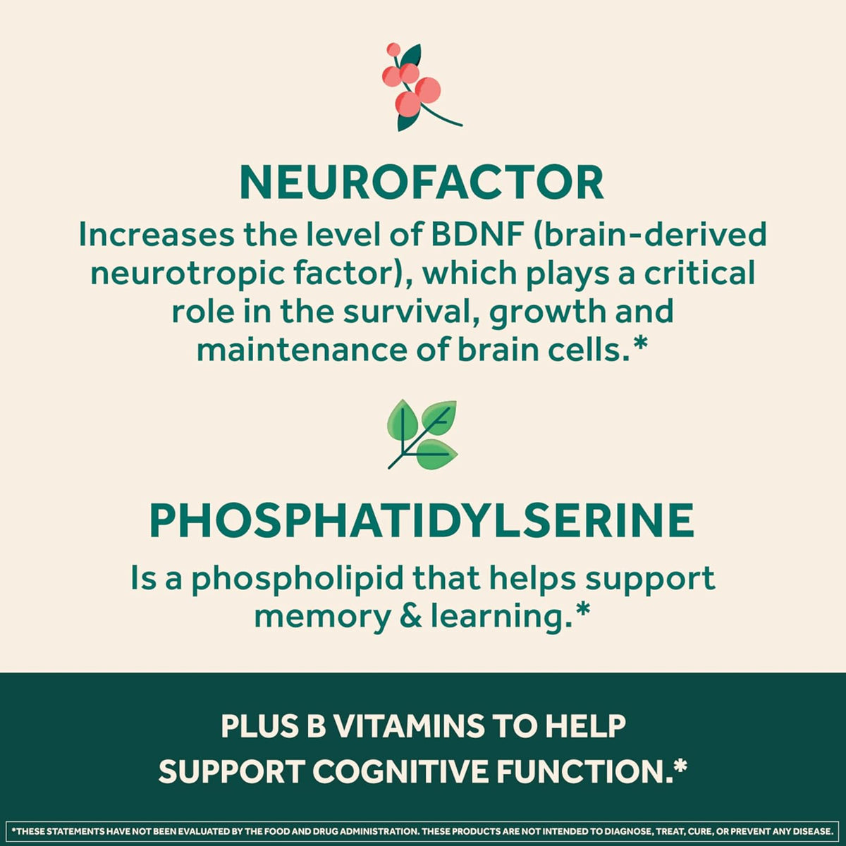 NEURIVA Ultra Brain Supplements for Memory and Focus with Phosphatidylserine, Neurofactor, Cognivive, Folic Acid, Vitamin B12 and Vitamin B6, 60 Capsules - görsel 7