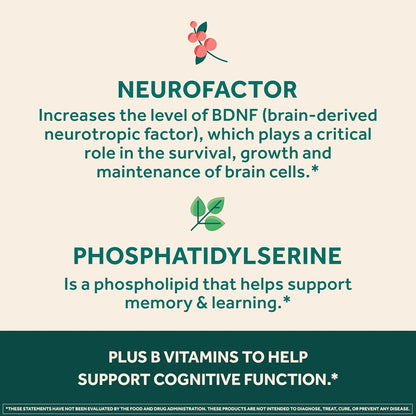 NEURIVA Ultra Brain Supplements for Memory and Focus with Phosphatidylserine, Neurofactor, Cognivive, Folic Acid, Vitamin B12 and Vitamin B6, 60 Capsules