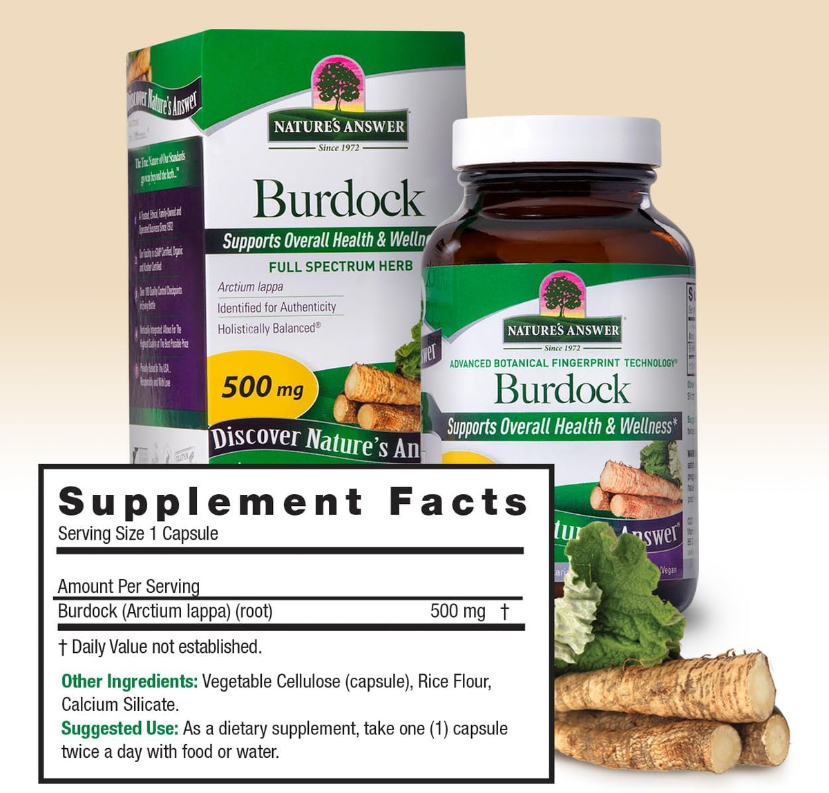 Nature's Answer Burdock Root, 90 Capsules - Antioxidant Support - görsel 3