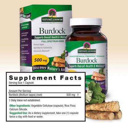 Nature's Answer Burdock Root, 90 Capsules - Antioxidant Support