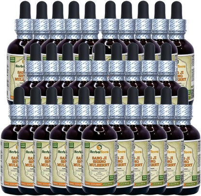HerbalTerra Sang Ji Sheng (Mulberry Mistletoe) Tincture – 30 x 2 fl oz (60 ml)